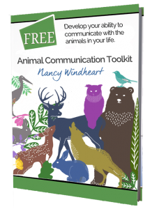 Animal Communication with Nancy Windheart