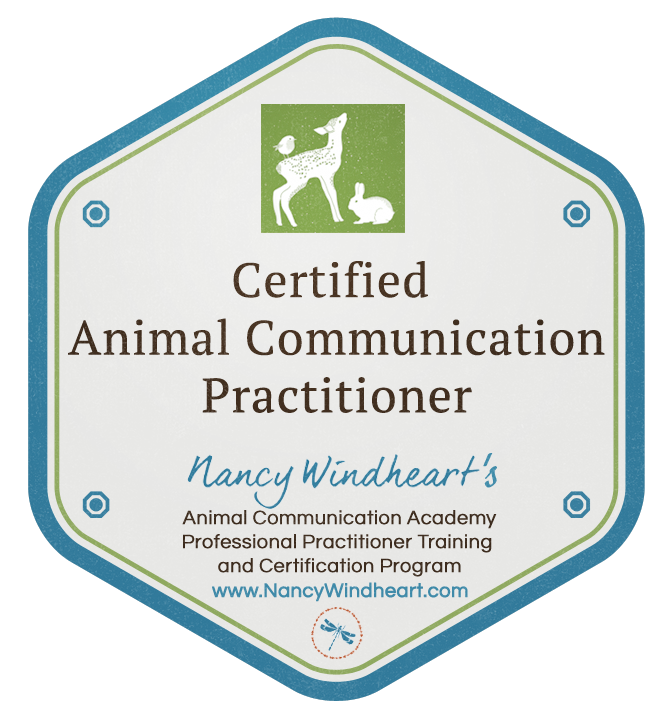 New Professional Animal Communication Practitioners