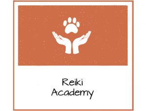 reiki-for-animals-and-humans