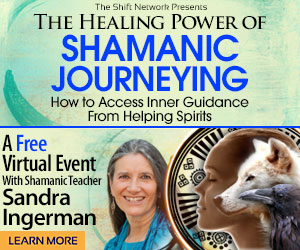 shamanic-journeying-with-sandra-ingerman