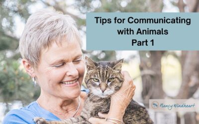 Tips for Communicating with Animals – Part 1