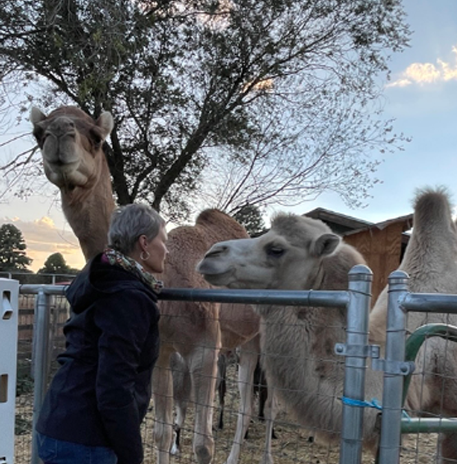 arizona-animal-communication-retreat-workshop