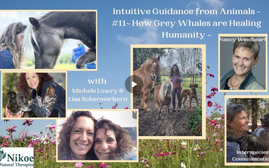 Intuitive Guidance from Animals Podcast