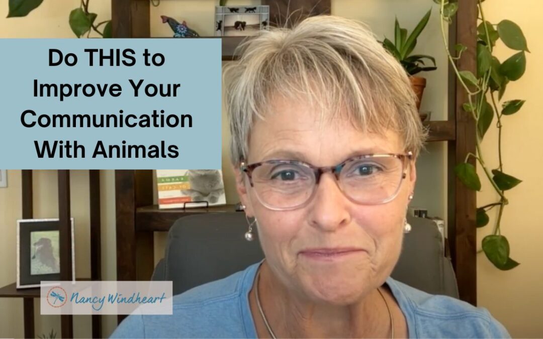 Do THIS to Improve Your Communication with Animals