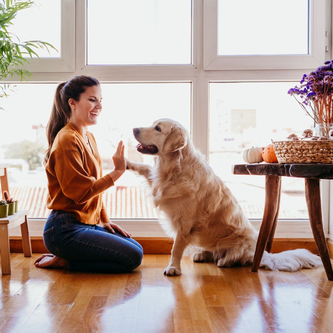 girl-and-dog